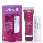 Caudalie The des Vignes Hand & Nail & Lip Conditioner, Κρέμα Χεριών 30ml & Ενυδατικό Στικ Ενυδάτωσης Χειλιών 4.5gr
