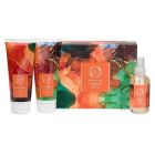 Fresh Line Amber Orange Limited Edition Set Σετ περιποίησης σώματος 3 τεμάχια 