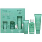 Apivita Promo Routine Just Bee Clear με Just Bee Clear Κρέμα κατά των Ατελειών 40ml & Δώρο Just Bee Clear Λοσιόν Σύσφιξης Πόρων 50ml & Gel Καθαρισμού Προσώπου 15ml