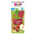 Hipp Bio Βιολογικές Μπάρες Βρώμης με Φράουλα και Βατόμουρο 100g (5x20g)