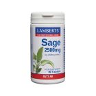 Lamberts Sage 2500 mg 90 tabs