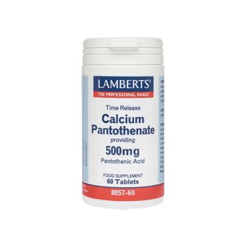 Lamberts Calcium Pantothenate Time Release 500mg 60 tabs